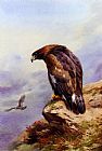 Archibald Thorburn Canvas Paintings - A Golden Eagle